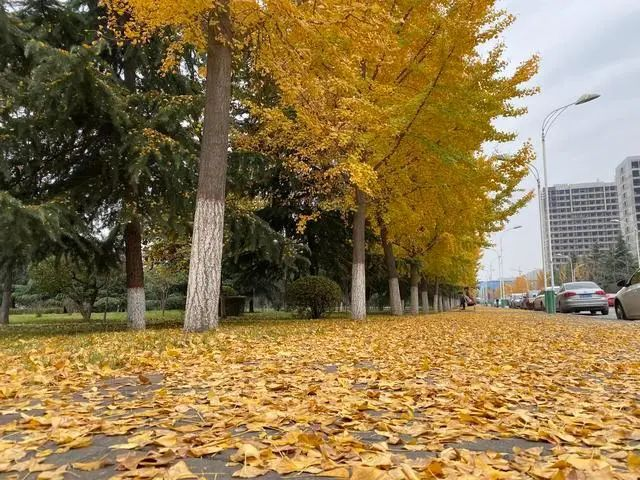 艺术类冷门本科学校_本科冷门艺术教育专业学什么_本科艺术教育专业冷门吗/