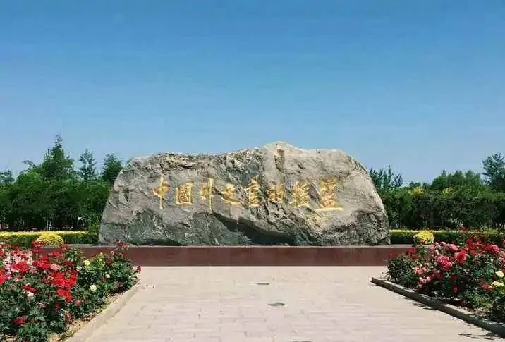 本科艺术教育专业冷门吗_艺术类冷门本科学校_本科冷门艺术教育专业学什么/