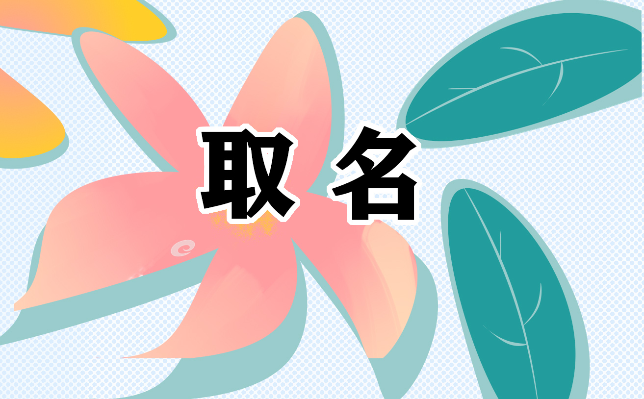 艺术装饰公司名称/