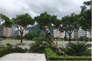 福建省中专院校_福建中专职校_福建省十大中专学校/