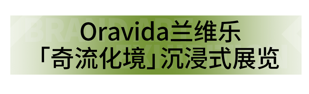 艺术展览_展览艺术品_展览艺术家/