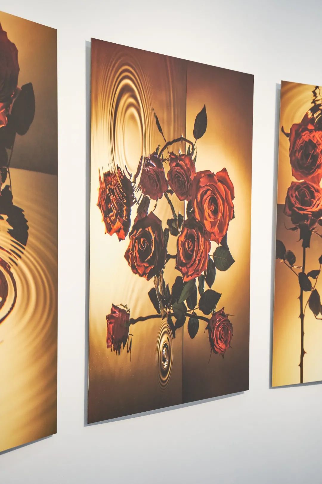 艺术展览_展览艺术品_展览艺术家/