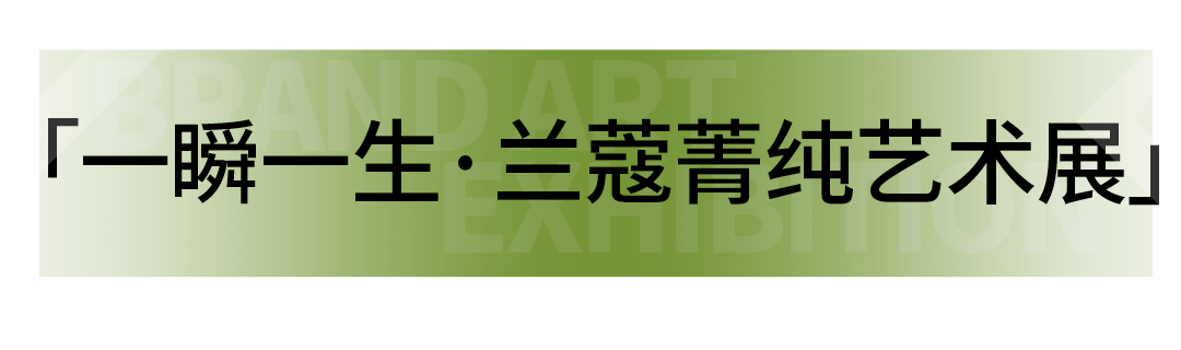 艺术展览_展览艺术品_展览艺术家/