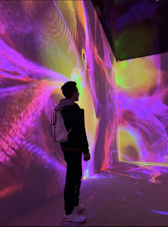 展览艺术英文_展览艺术设计_艺术展览/