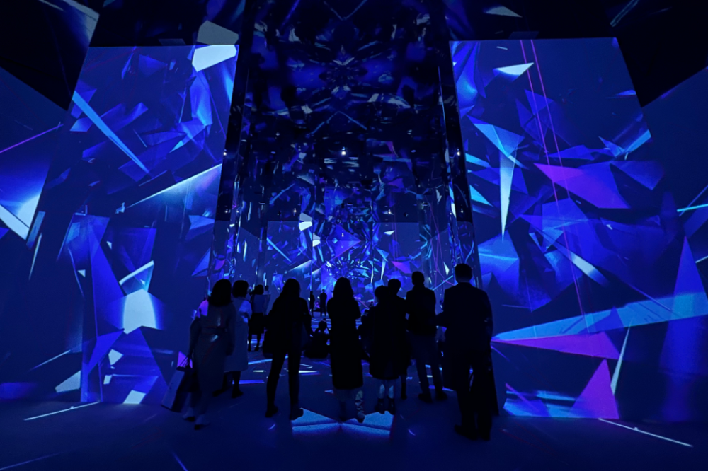展览艺术英文_展览艺术设计_艺术展览/