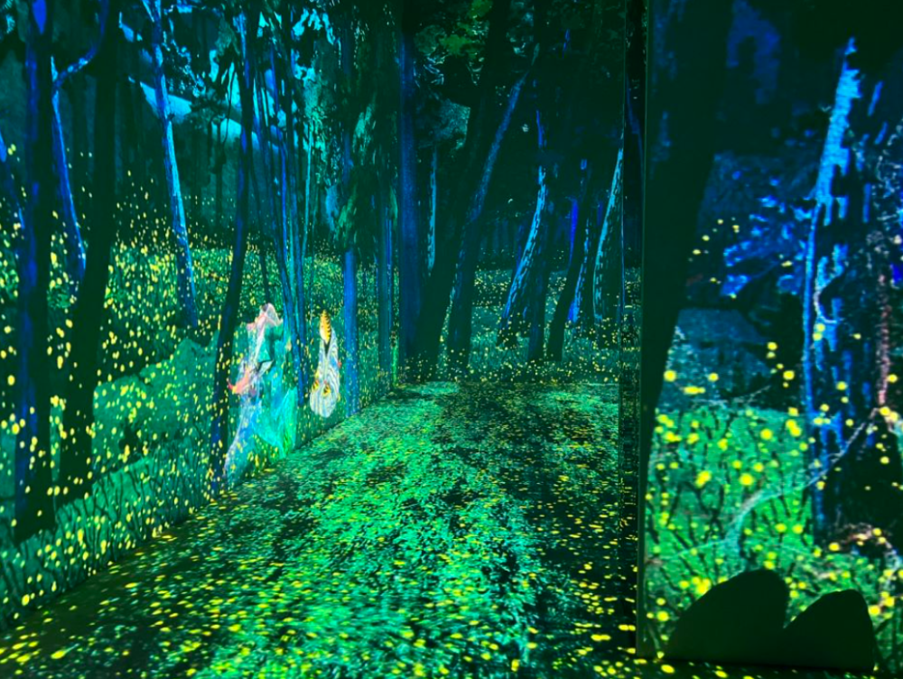 展览艺术英文_展览艺术设计_艺术展览/