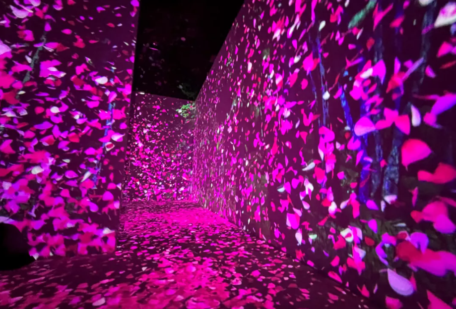 展览艺术英文_艺术展览_展览艺术设计/