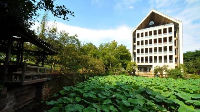 四川美术学院录取分_四川美术学院分数线_四川美术艺术学院分数线/