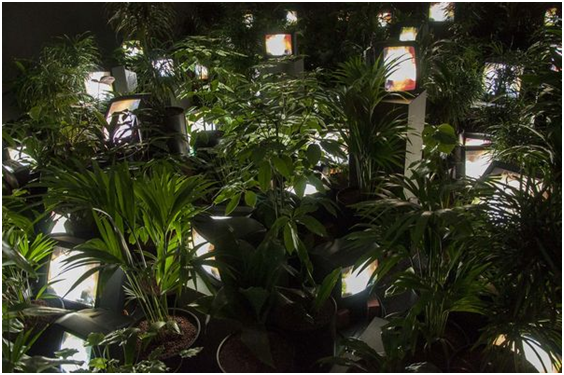 展览艺术设计_艺术展览_展览艺术英文/