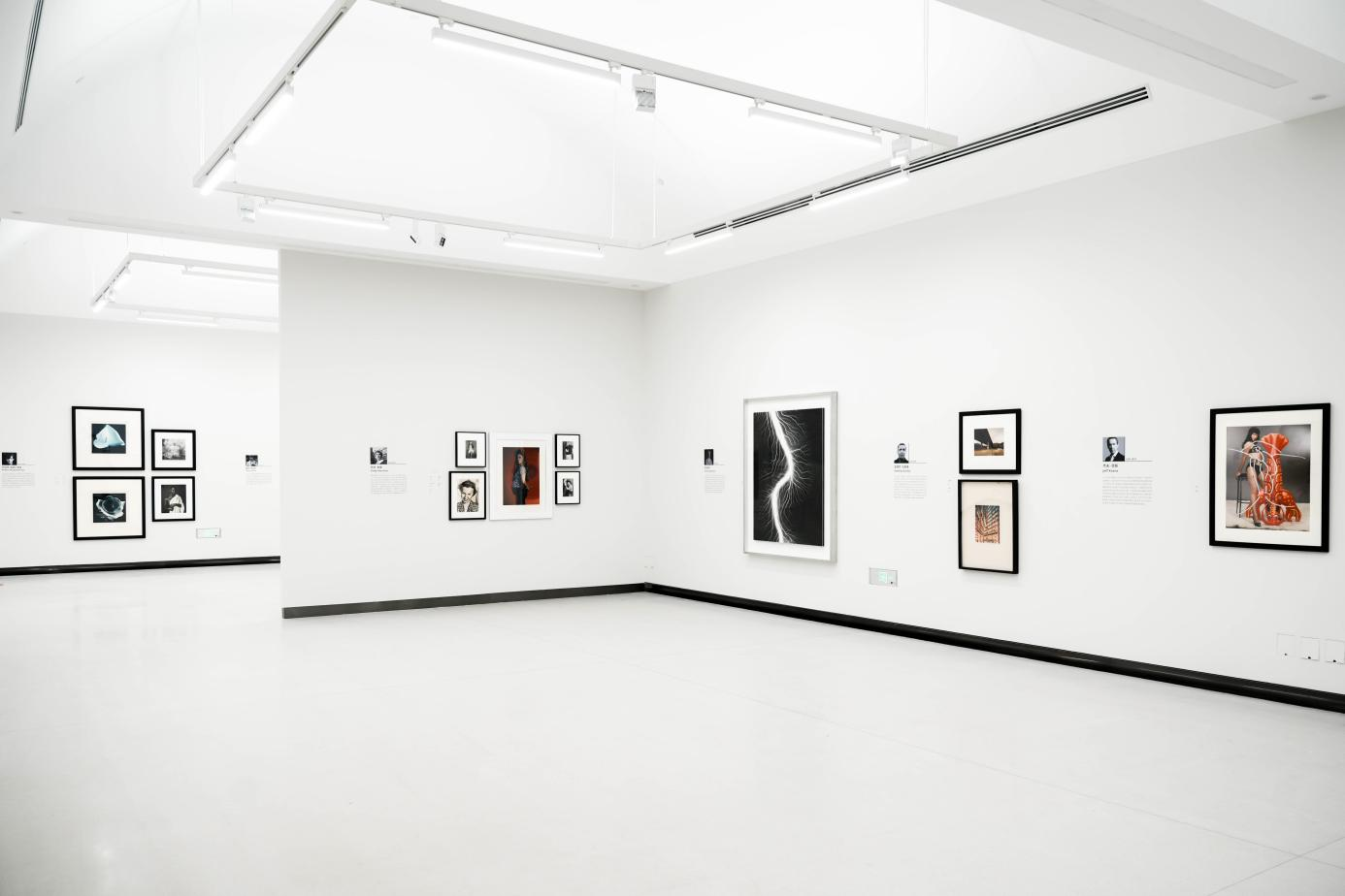 艺术展览_展览艺术家_展览艺术设计/