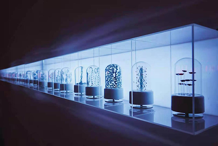 展览艺术字_展览艺术英文_艺术展览/