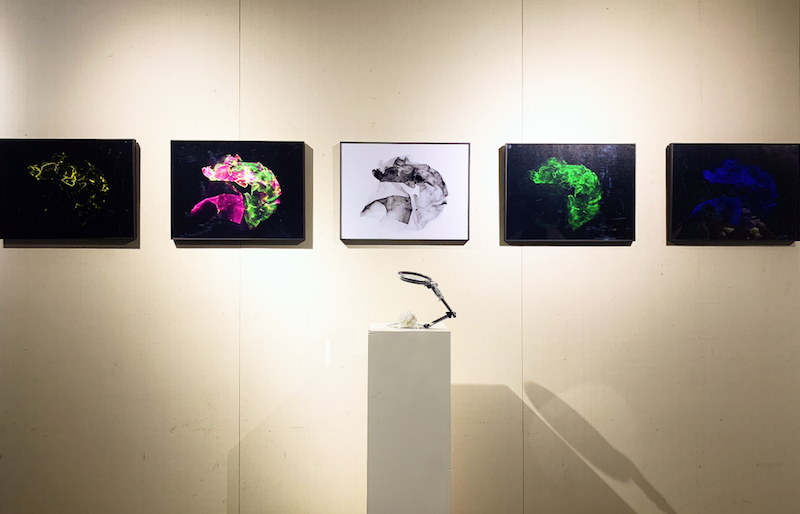 展览艺术设计_展览艺术字_艺术展览/