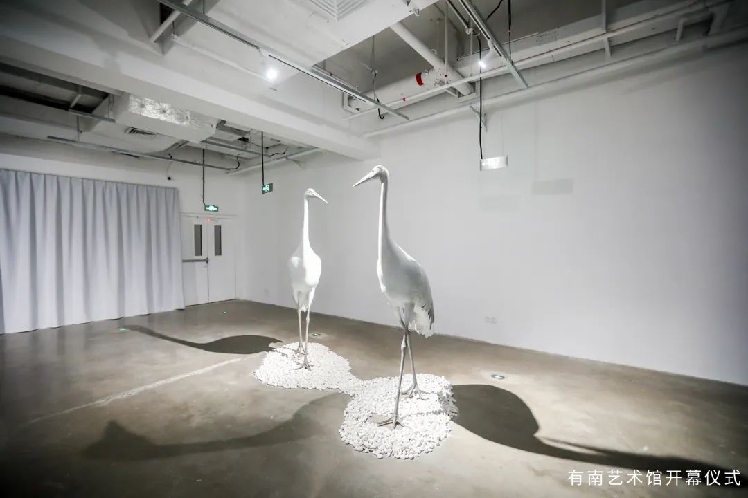 图片/