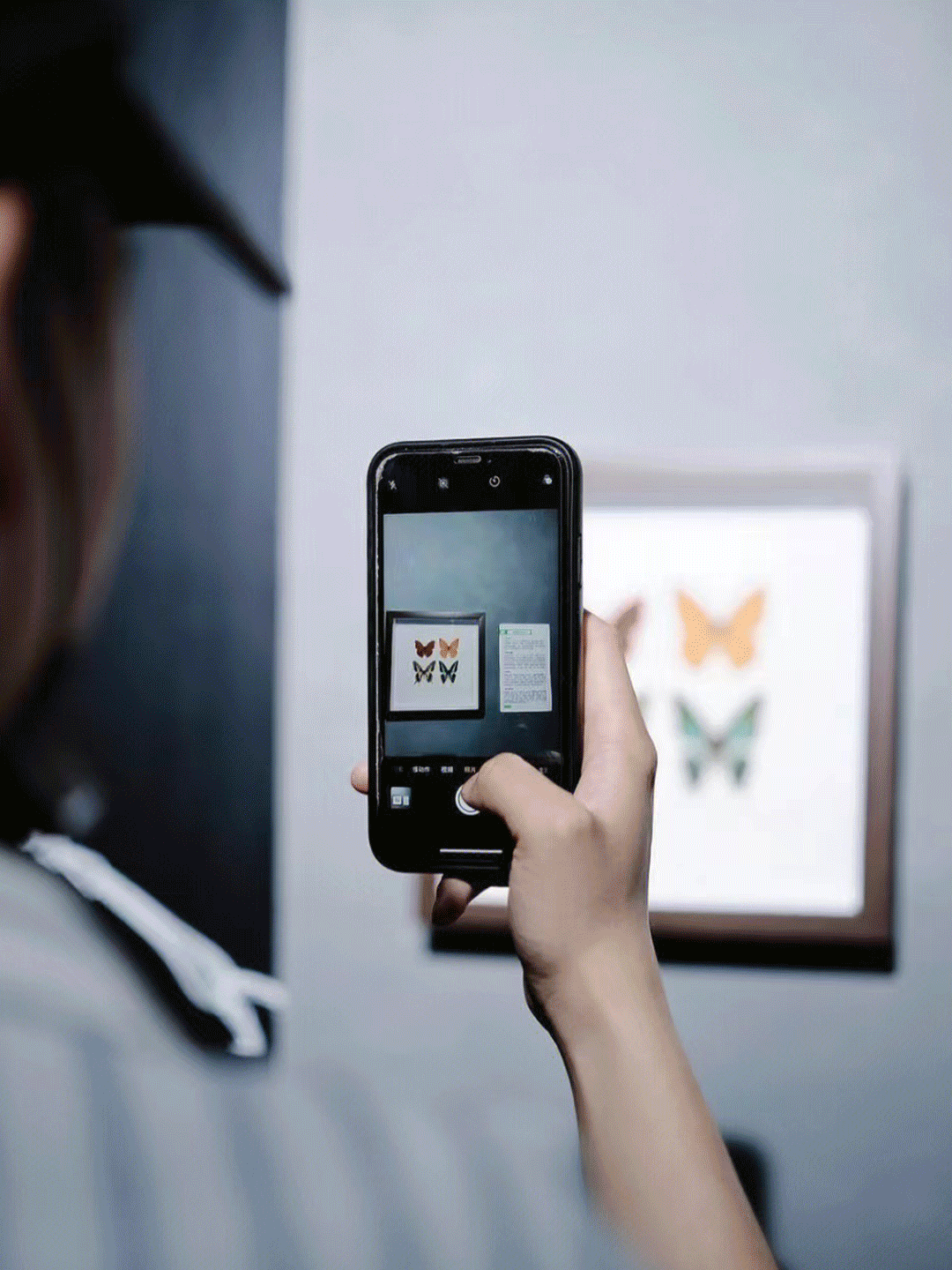 展览艺术家_艺术展览_展览艺术品/