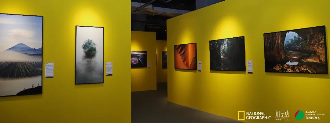 展览艺术家_展览艺术品_艺术展览/