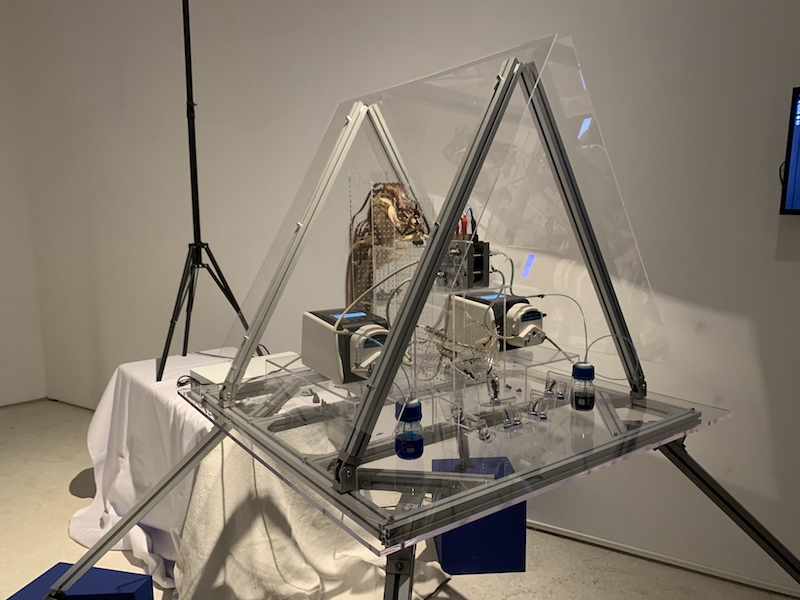 展览艺术字_艺术展览_展览艺术设计