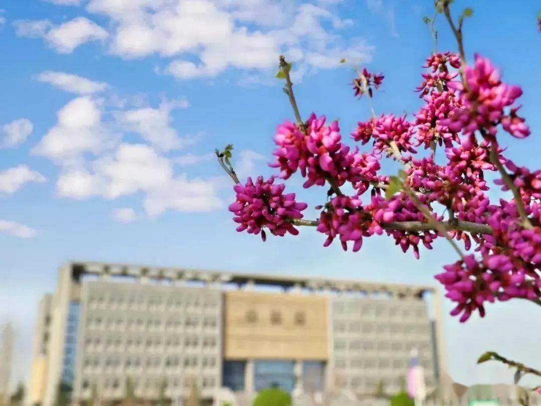 成都十大垃圾大学_如何评价成都大学_成都大学怎么了