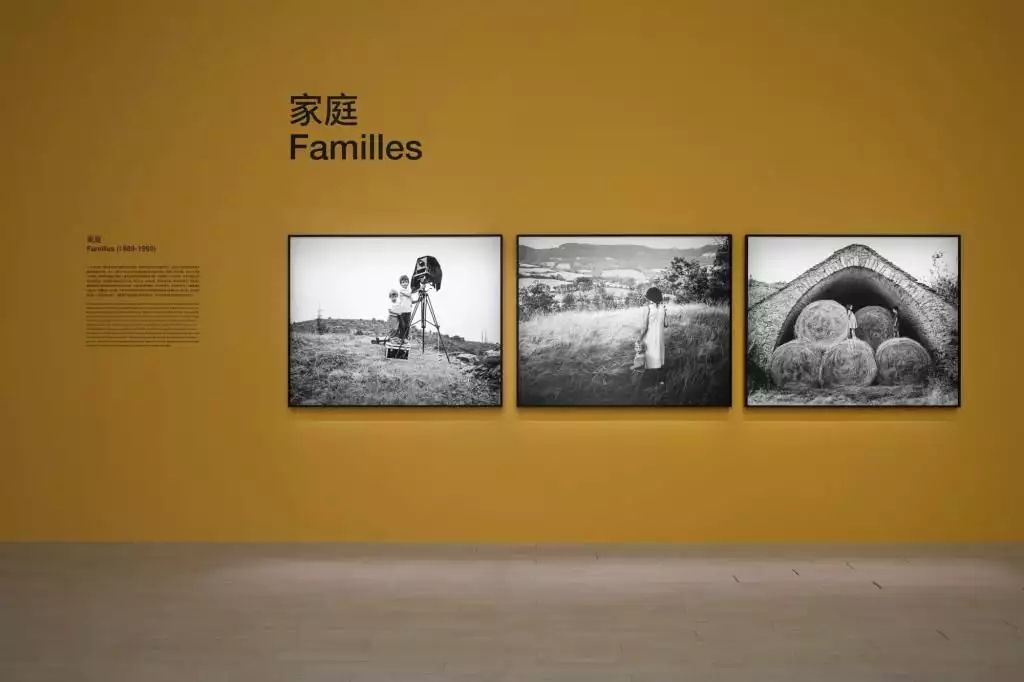 艺术展览_展览艺术设计_展览艺术家