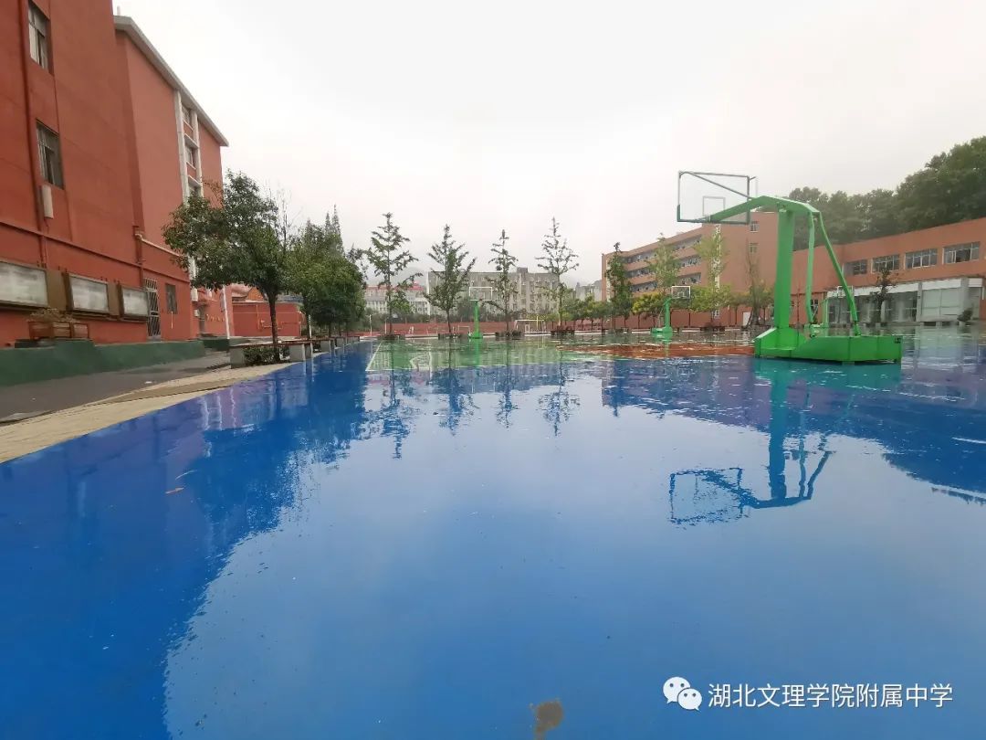 中国教师报名入口_中国教师报联系方式_中国教师报