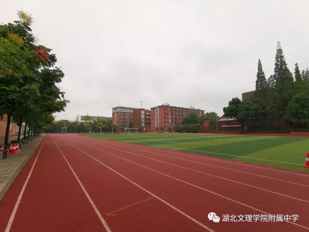 中国教师报名入口_中国教师报联系方式_中国教师报