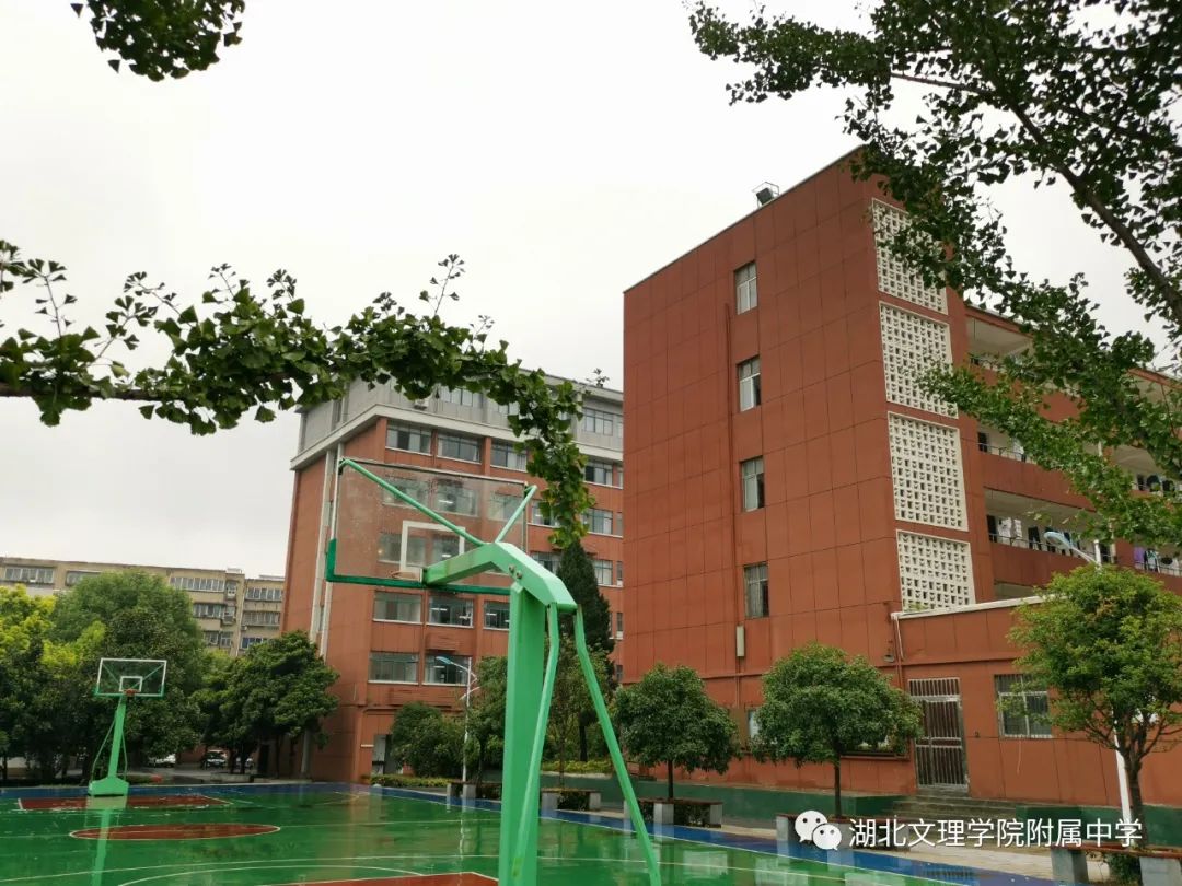 中国教师报联系方式_中国教师报名入口_中国教师报