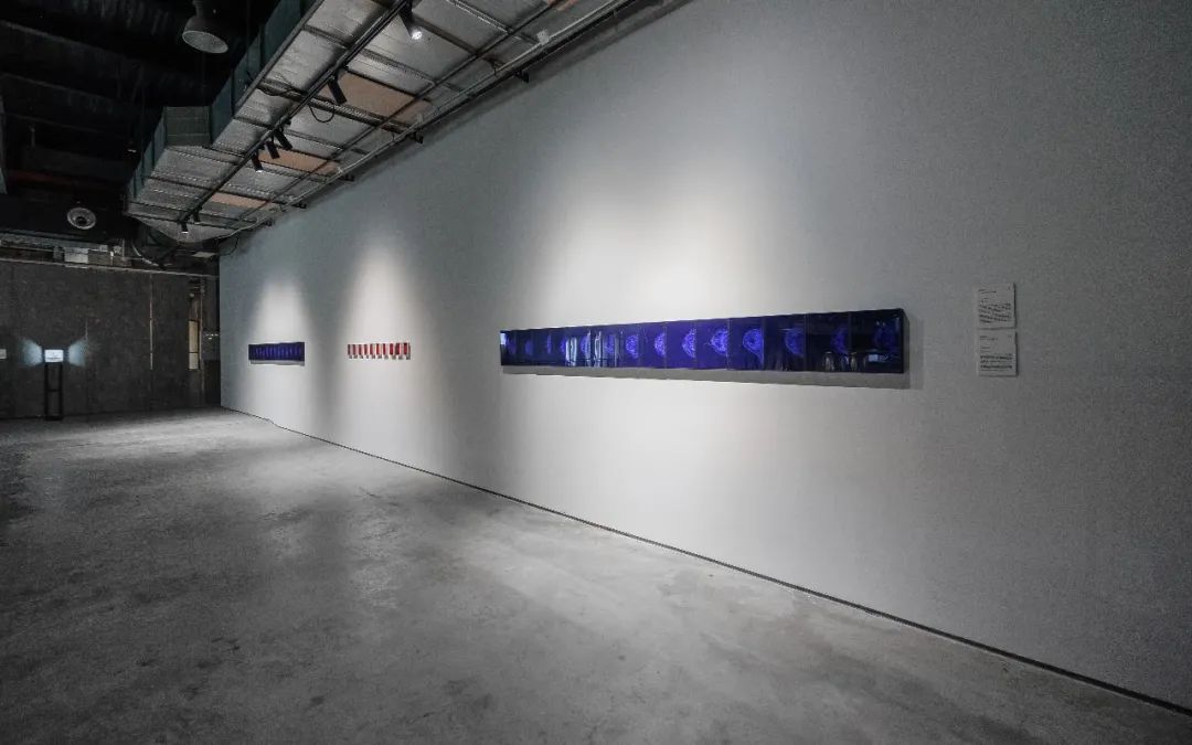 展览艺术字_展览艺术品_艺术展览