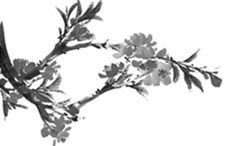 音著协_美协