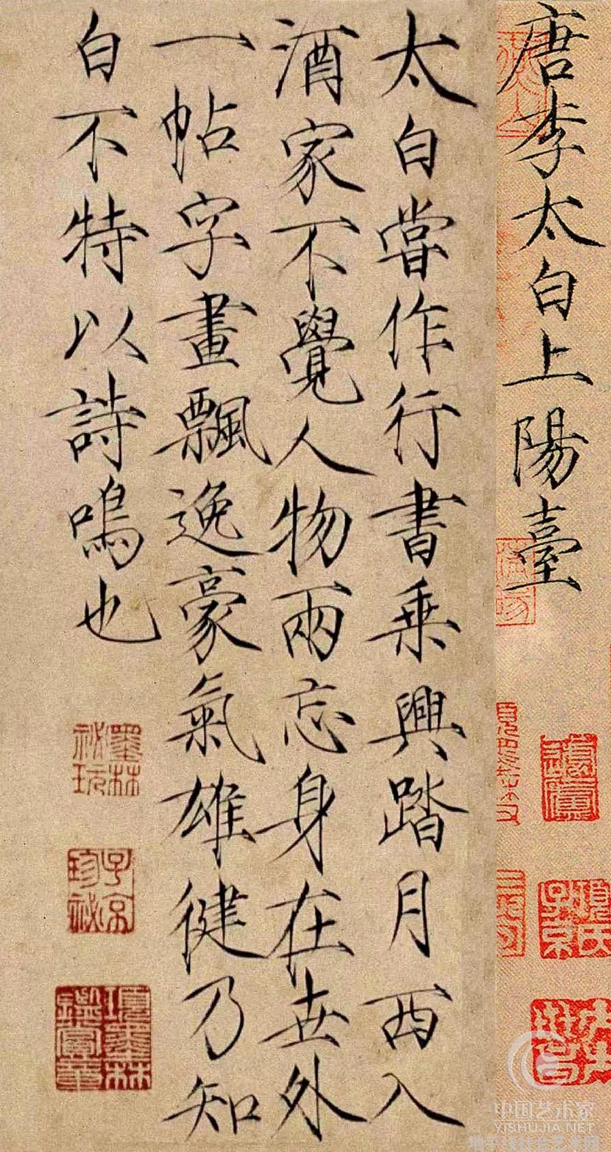 一朵美丽的白玫瑰