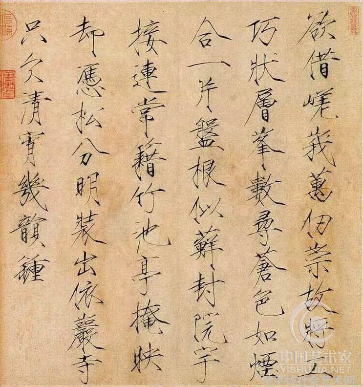 瑰丽的花卉