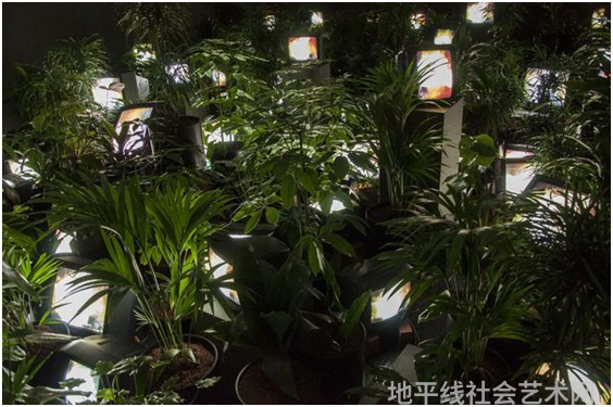展览艺术设计_艺术展览_展览艺术英文