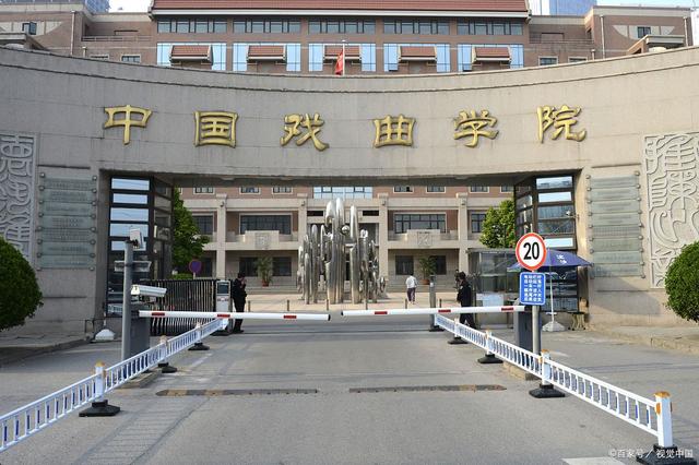 美术设计专业哪所大学比较好_中国美术专业大学排名_美术生大学选什么专业比较好