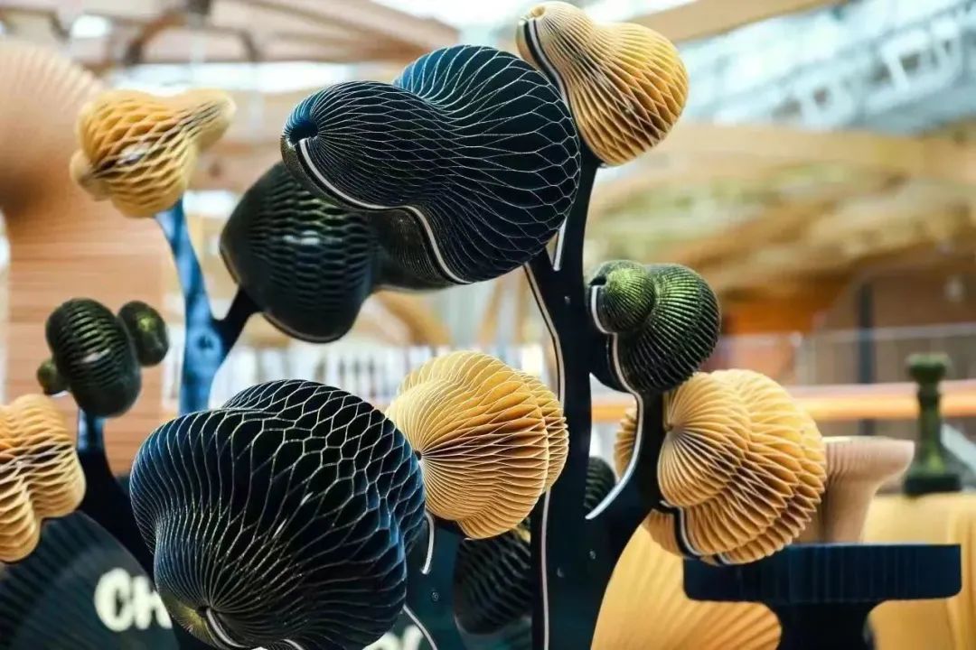 展览艺术家_展览艺术设计_艺术展览