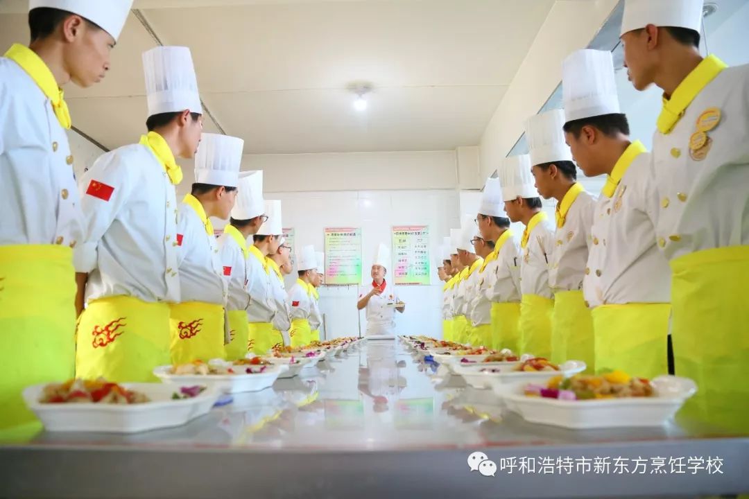 没学历就学技术_学历没学技术可以考编制吗_没学历可以学什么技术