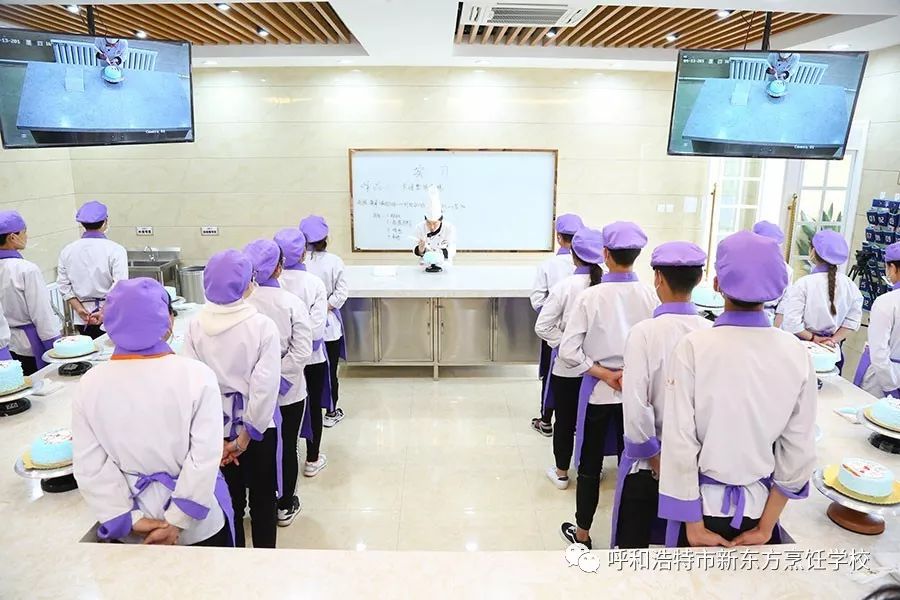没学历就学技术_学历没学技术可以考编制吗_没学历可以学什么技术