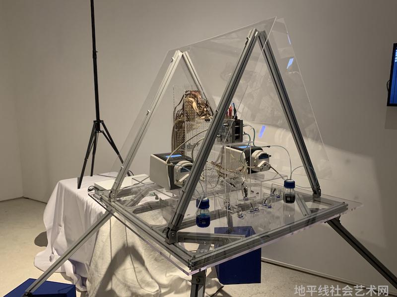展览艺术字_艺术展览_展览艺术设计